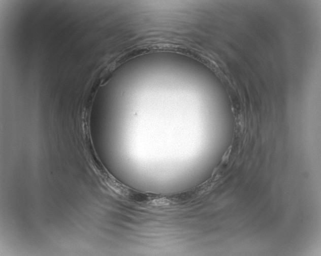 X0000073900423200608110940