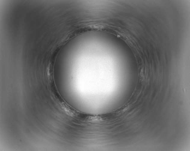 X0000073900424200608110940