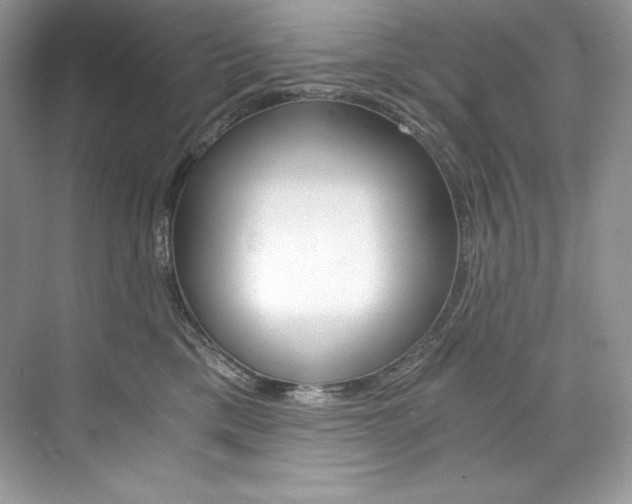 X0000073900425200608110940