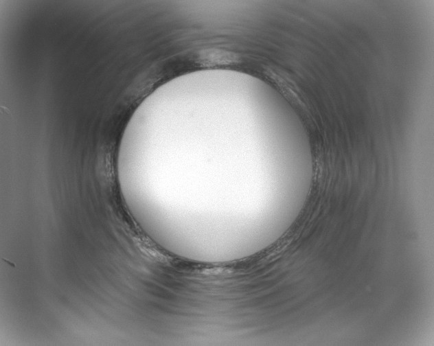 X0000073900426200608110940