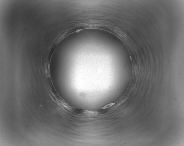 X0000073900429200608110940