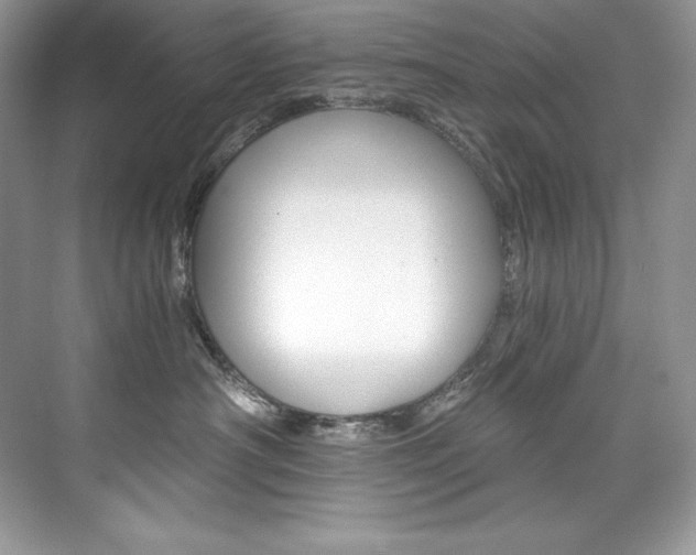 X0000073900430200608110940