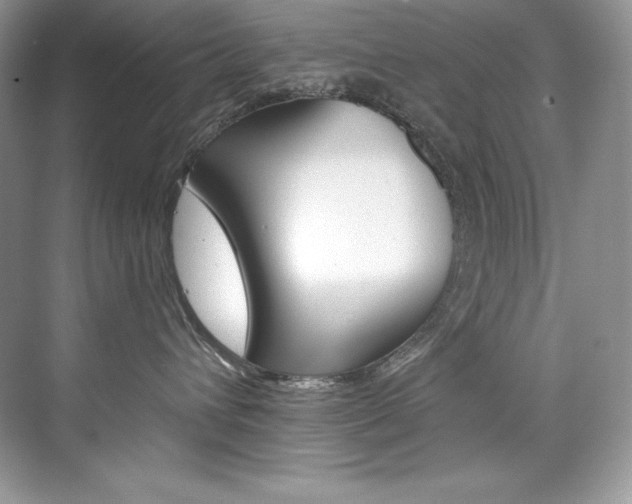 X0000073900432200608110940