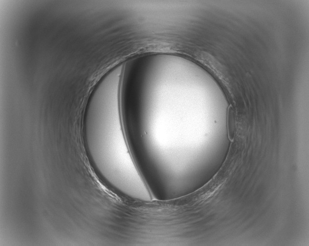 X0000073900433200608110939