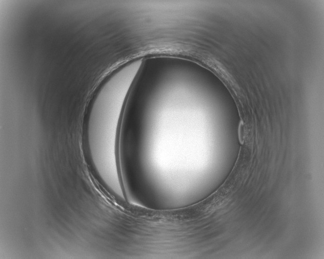 X0000073900434200608110939