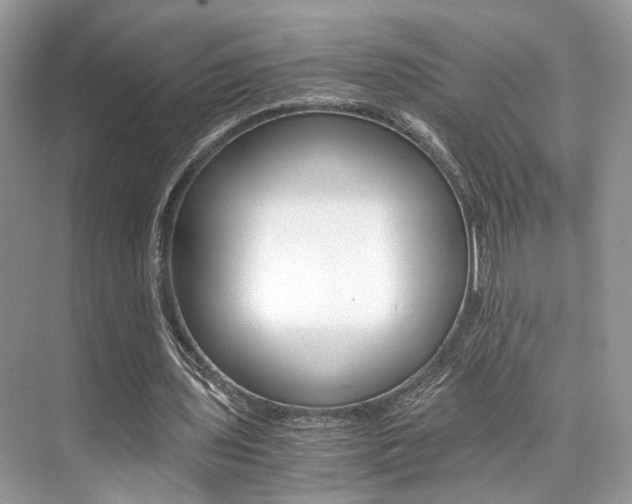 X0000073900435200608110939