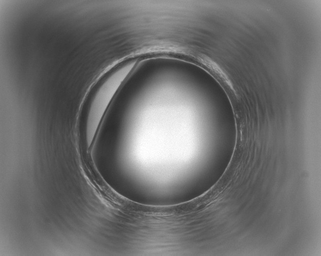 X0000073900436200608110940