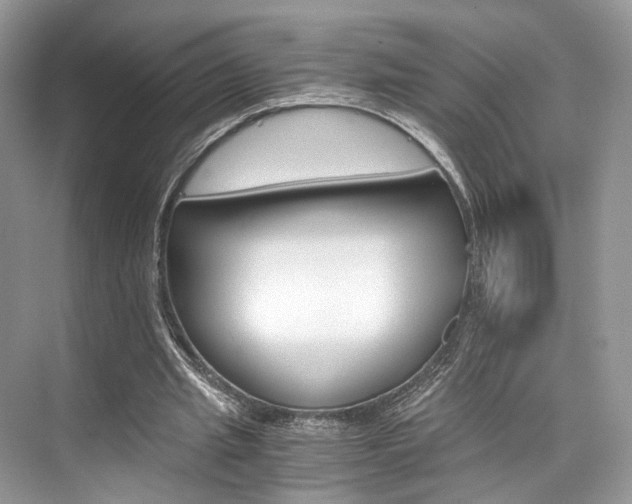 X0000073900437200608110940