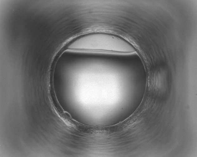 X0000073900438200608110940