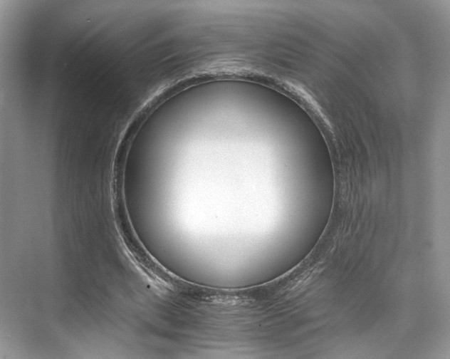 X0000073900439200608110940