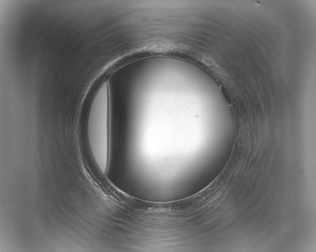 X0000073900440200608110940