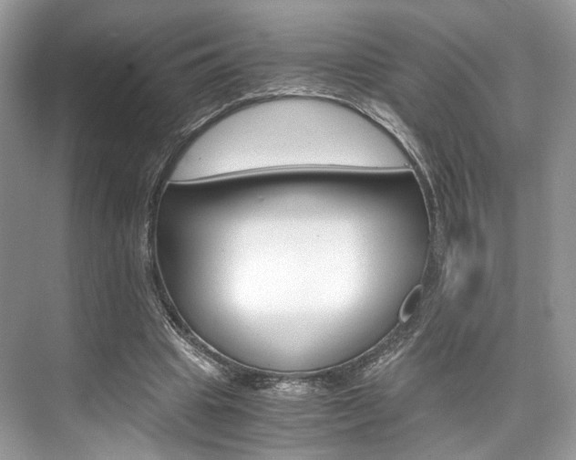 X0000073900441200608110940