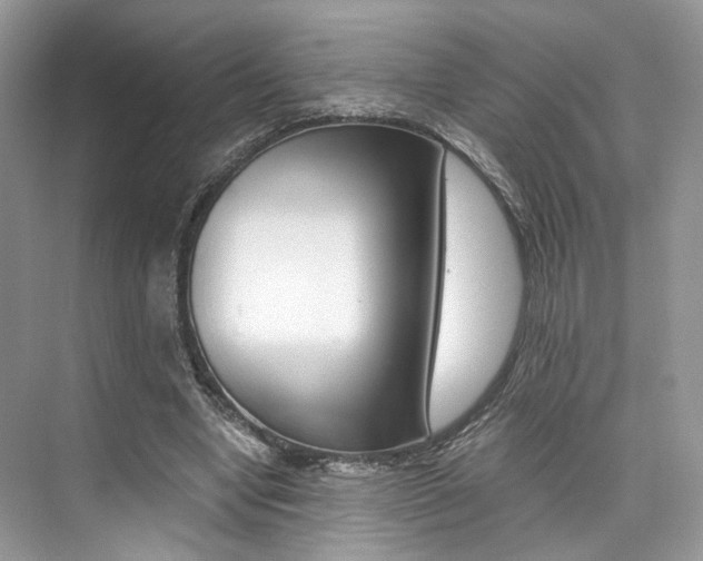 X0000073900442200608110940