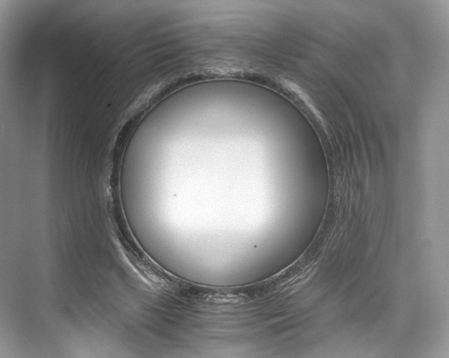 X0000073900443200608110940