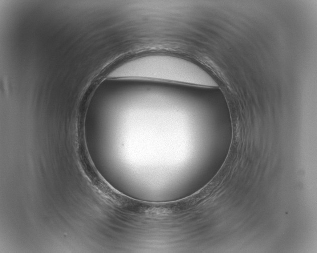 X0000073900444200608110940