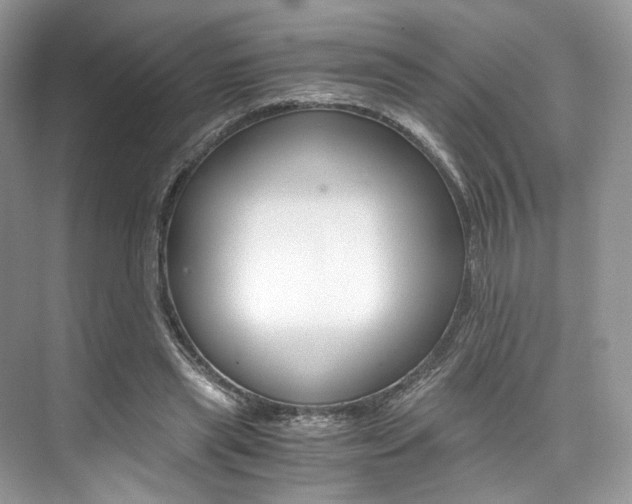 X0000073900445200608110940