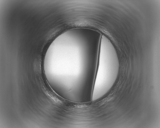 X0000073900446200608110940