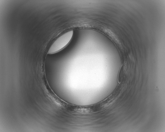 X0000073900449200608110940