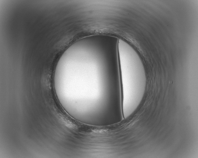 X0000073900450200608110940