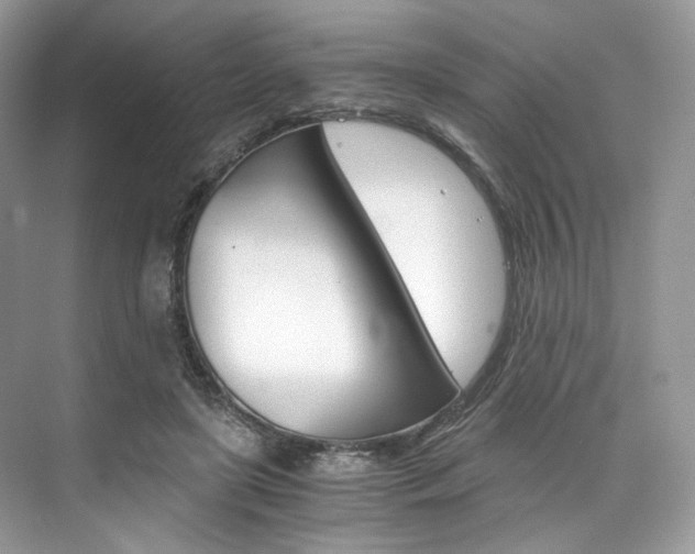 X0000073900451200608110940