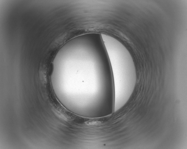 X0000073900452200608110940