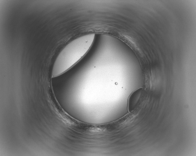 X0000073900453200608110940