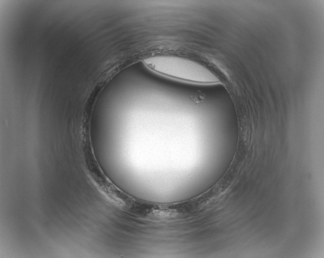 X0000073900455200608110940