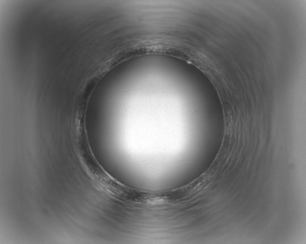 X0000073900456200608110940