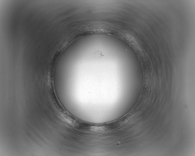 X0000073900457200608110940