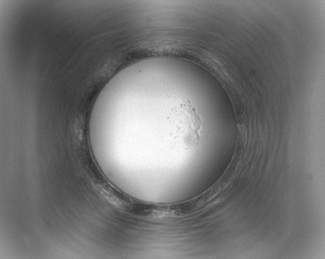 X0000073900458200608110940