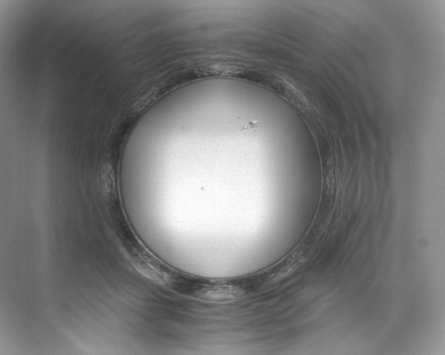 X0000073900459200608110940