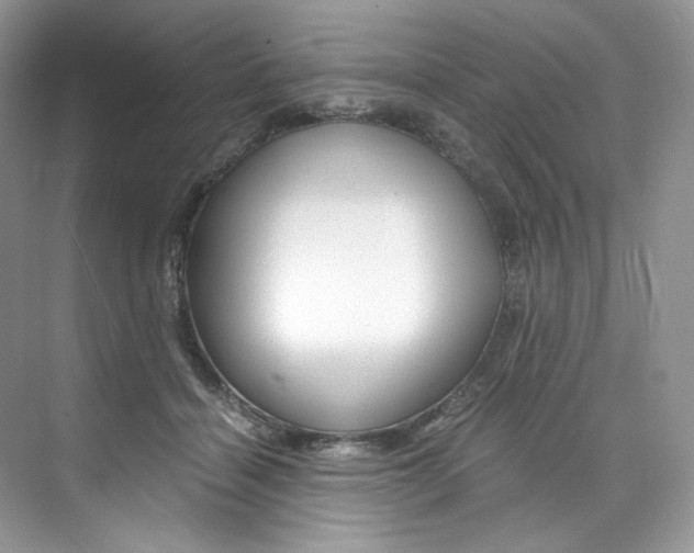 X0000073900460200608110940