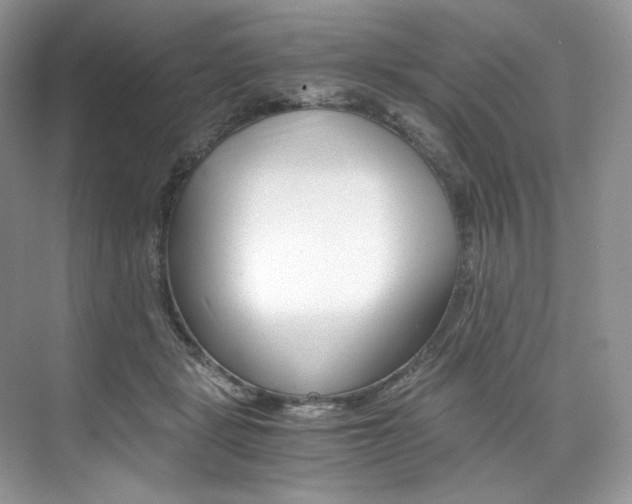 X0000073900461200608110940