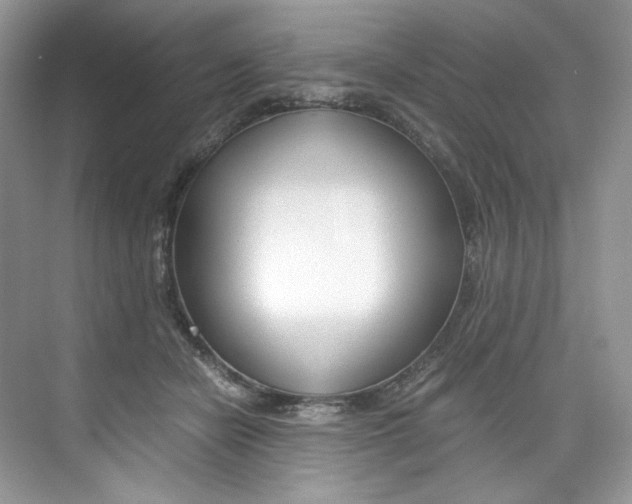 X0000073900462200608110940