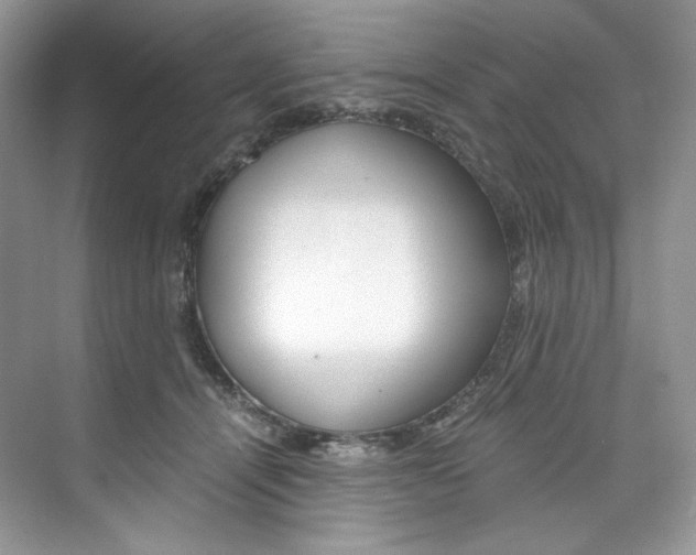 X0000073900464200608110940