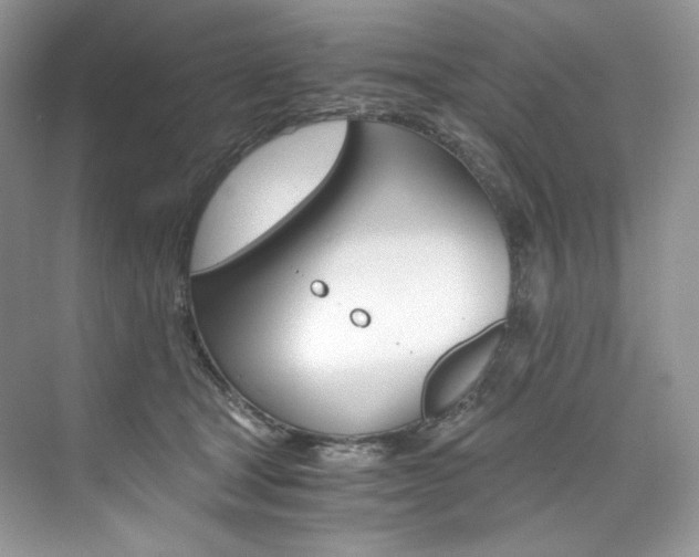 X0000073900465200608110940