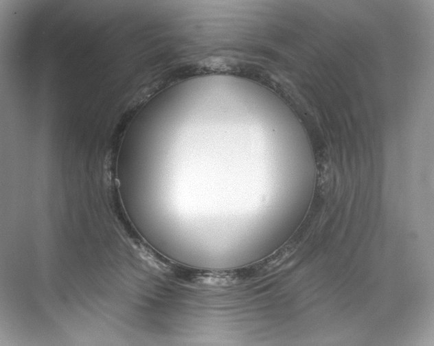 X0000073900466200608110940