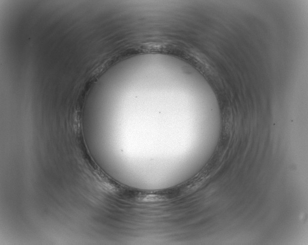 X0000073900467200608110940