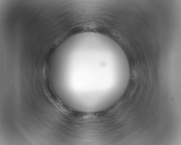 X0000073900468200608110940