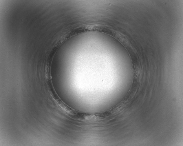 X0000073900470200608110940