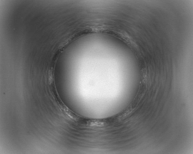 X0000073900471200608110940