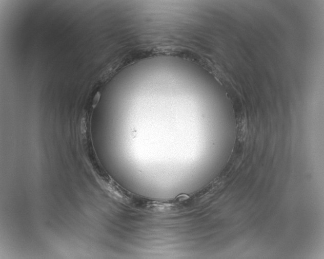 X0000073900472200608110940