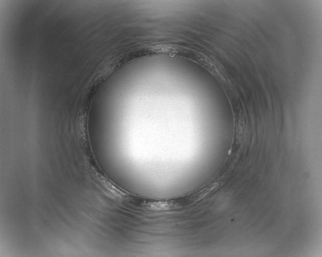 X0000073900473200608110940