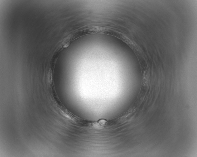 X0000073900474200608110940