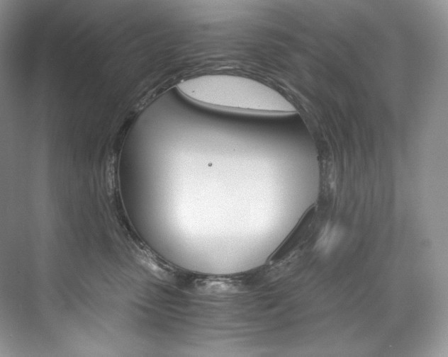 X0000073900475200608110940