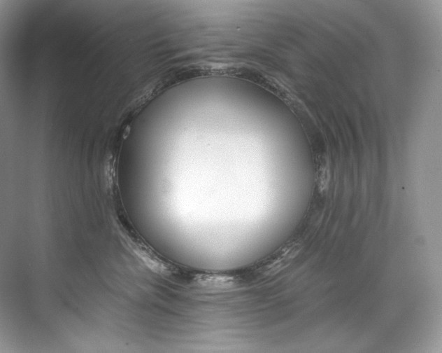 X0000073900476200608110940