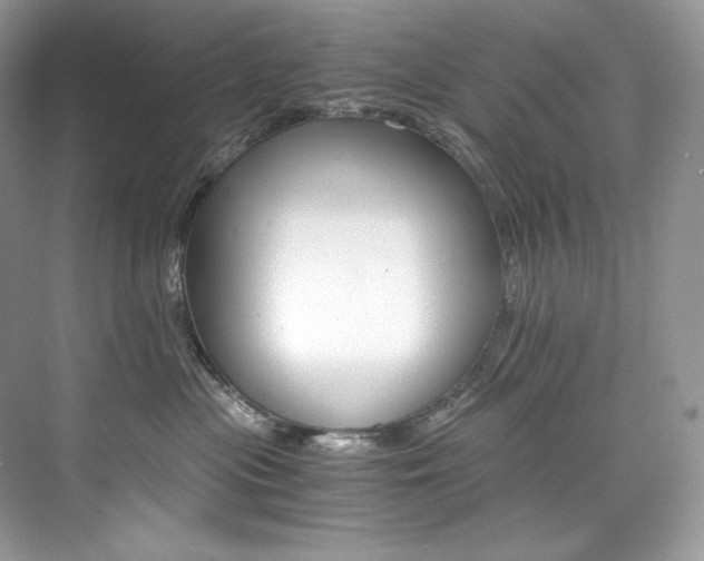 X0000073900477200608110940