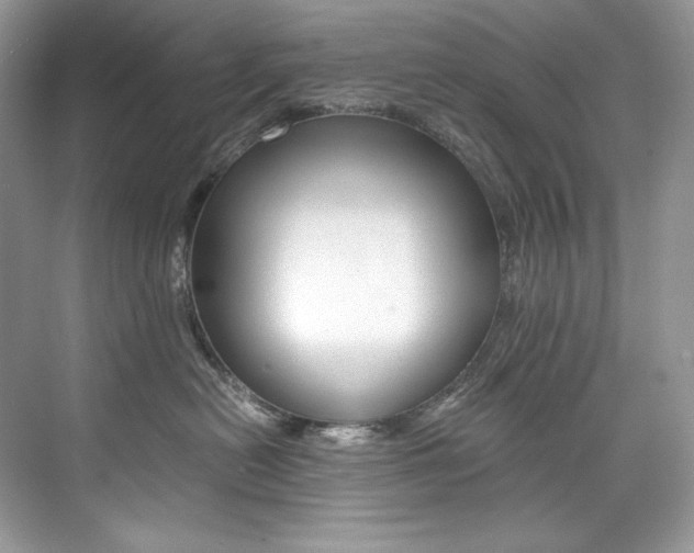 X0000073900478200608110940