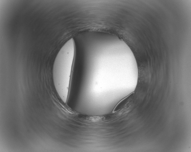 X0000073900479200608110940