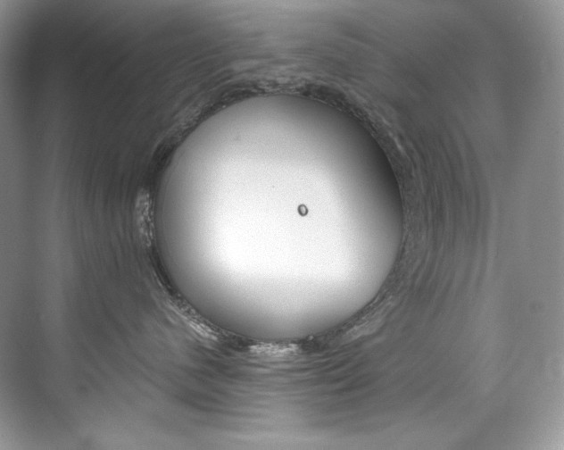 X0000073900480200608110940